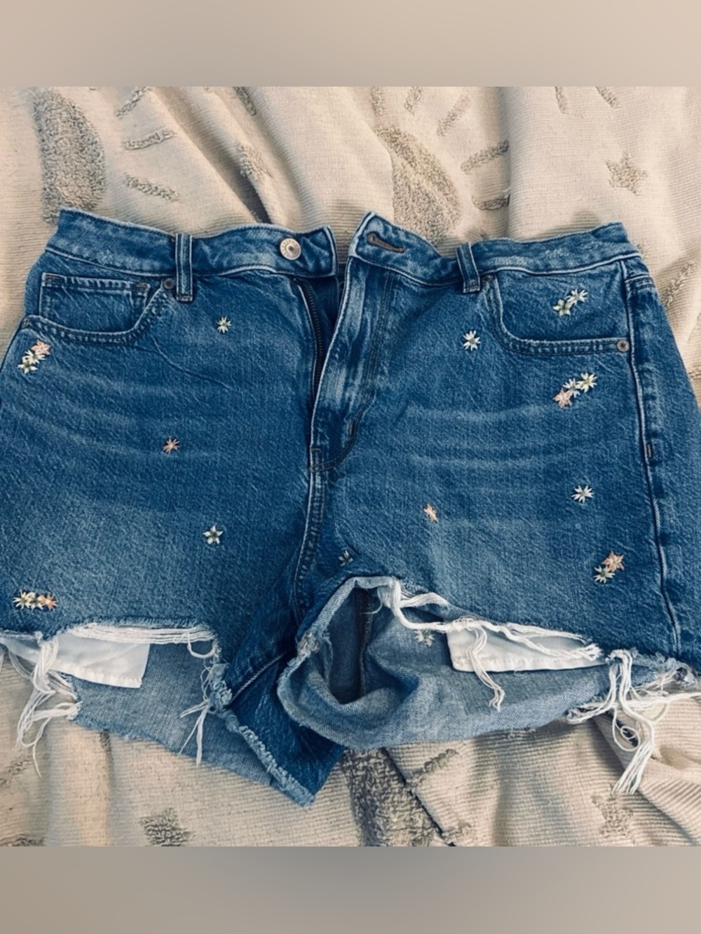 American Eagle Outfitters Embroidered Distressed Blue Denim Shorts